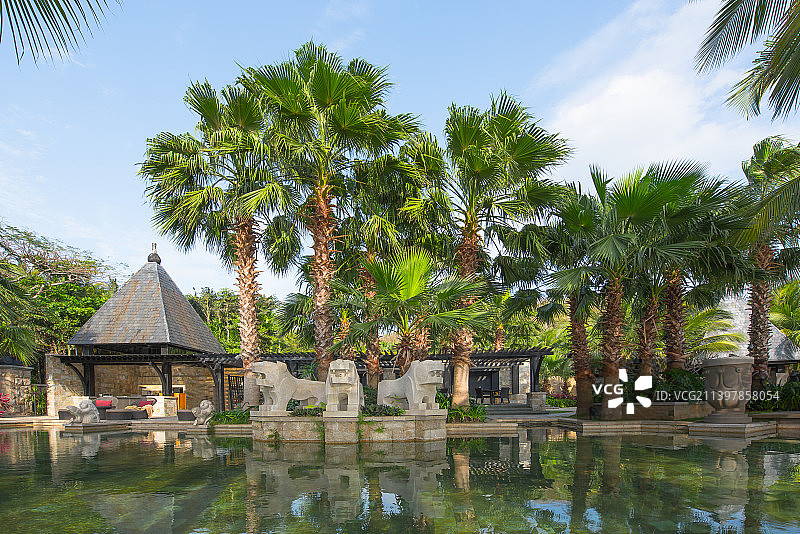 海边游泳池、热带度假酒店、三亚文华东方酒店、椰树林、图片素材