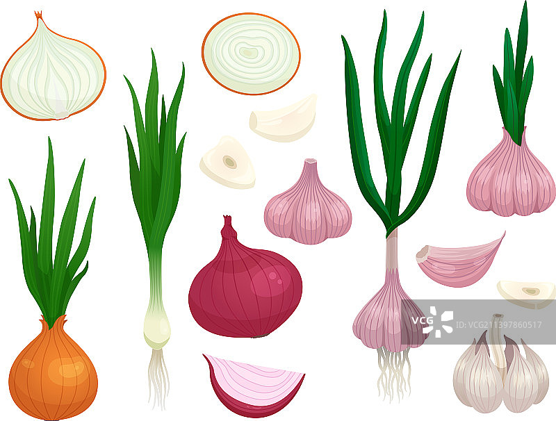 大蒜和洋葱蔬菜调味品图片素材