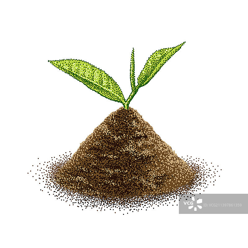 地里发芽的植物图片素材
