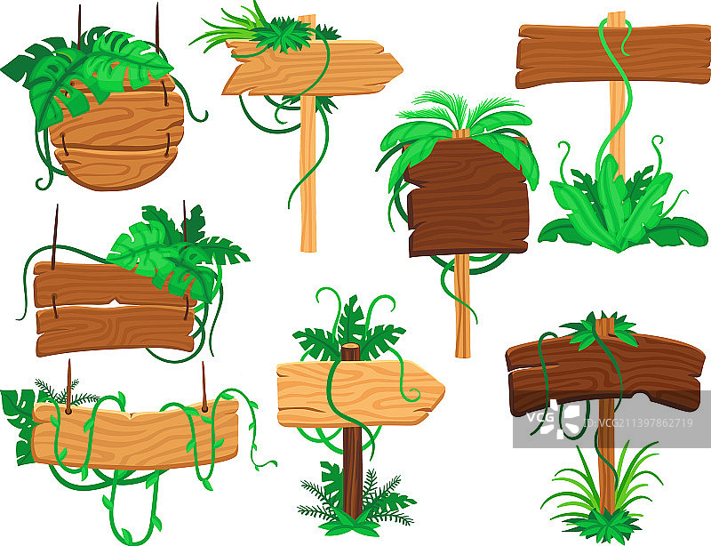 热带丛林卡通元素植物图案图片素材