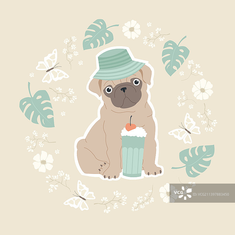 戴着巴拿马帽喝鸡尾酒的可爱巴哥犬图片素材