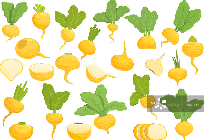 卡通植物烹饪萝卜图标合集图片素材