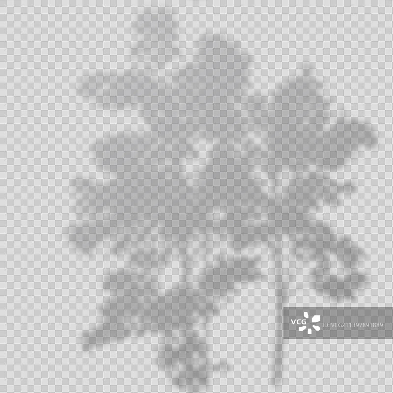 逼真透明叠加模糊阴影图片素材