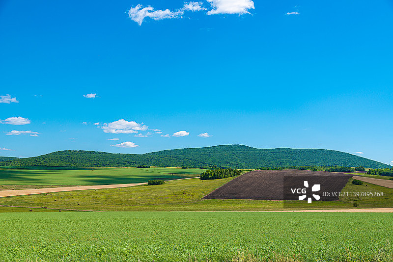 中国内蒙古锡林郭勒大草原风光图片素材