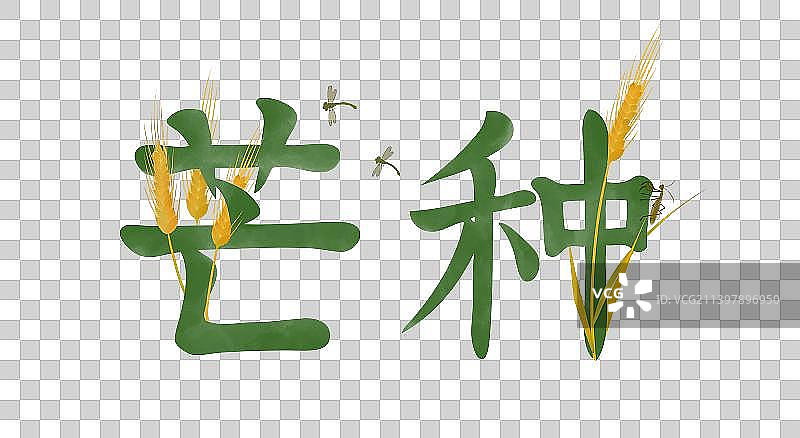 芒种节气字体设计素材图片素材