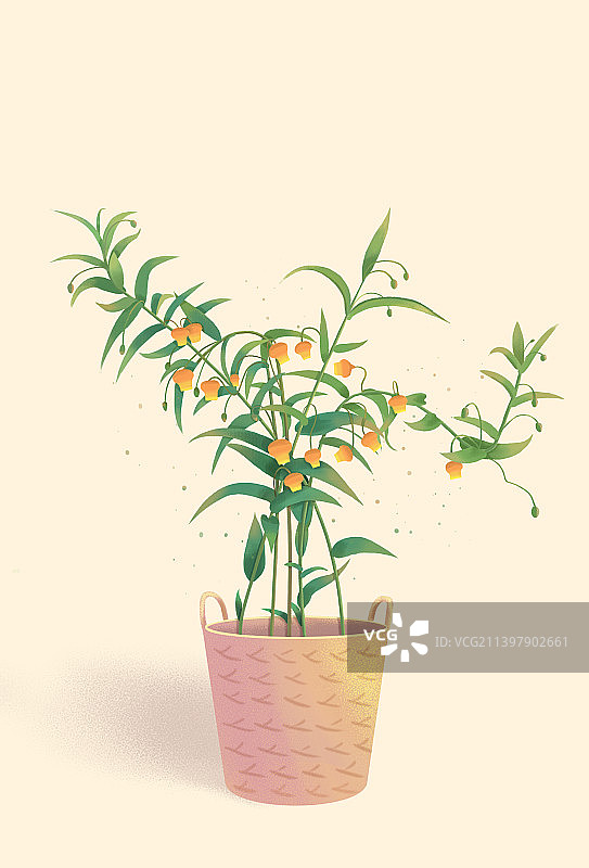 宫灯百合植物扁平机理插画图片素材