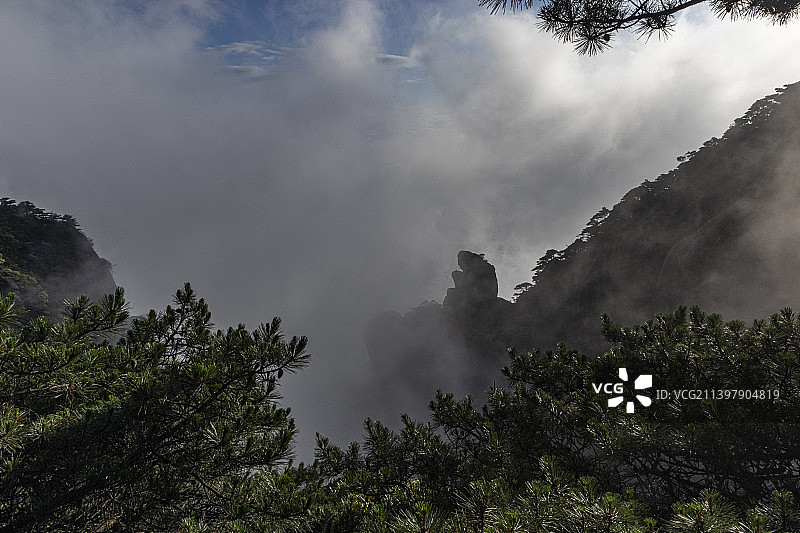三清山猴王献宝图片素材