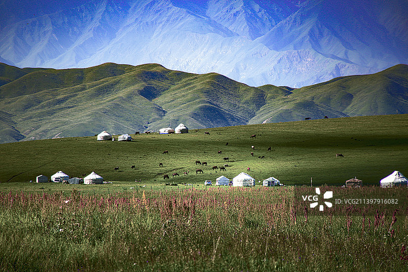新疆那拉提空中草原风光图片素材