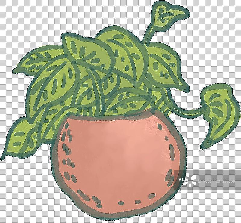 绿色植物花盆图片素材