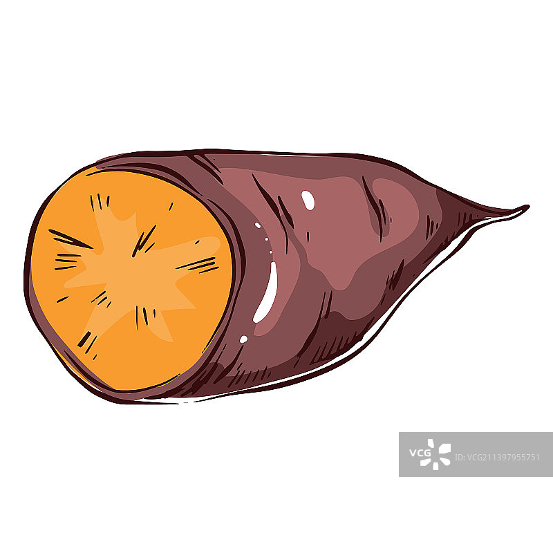 红薯切片图片素材