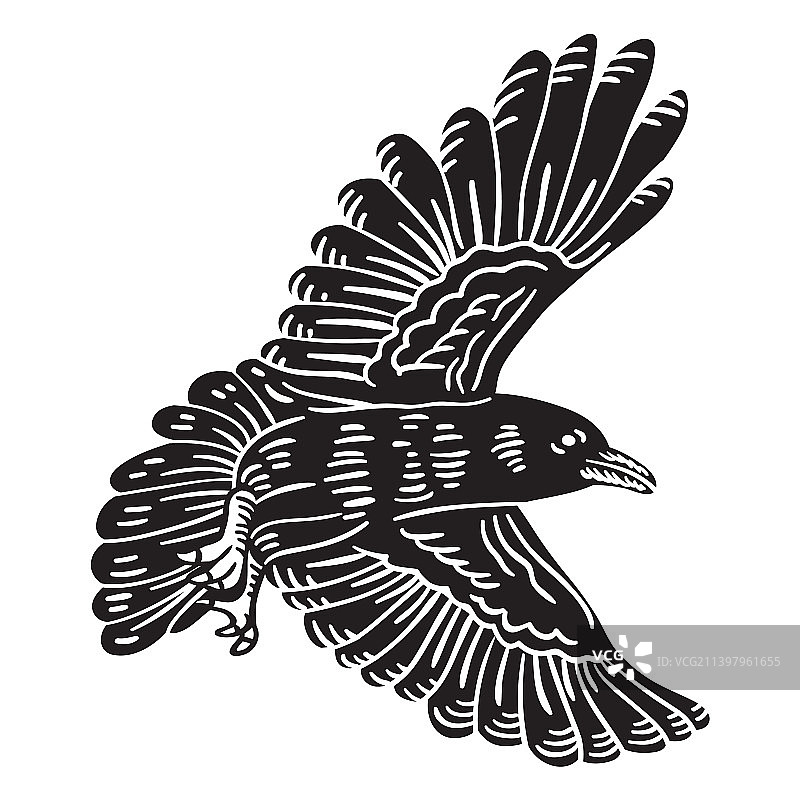 飞行的乌鸦鸟剪影图片素材