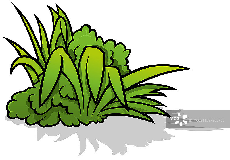 一组绿草图片素材