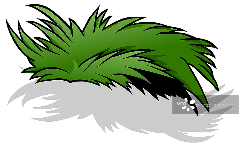 一簇海草图片素材