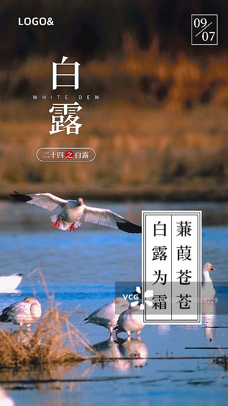 创意二十四节气白露秋分节气海报新媒体配图图片素材