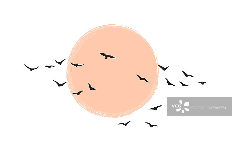 逆光飞鸟群图片素材