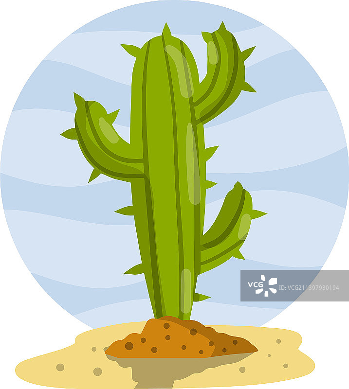 带刺的墨西哥绿色仙人掌植物图片素材