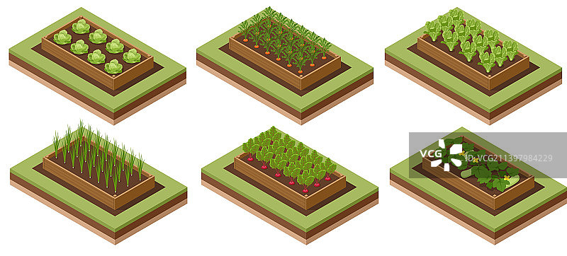 2.5D后院菜园蔬菜图片素材