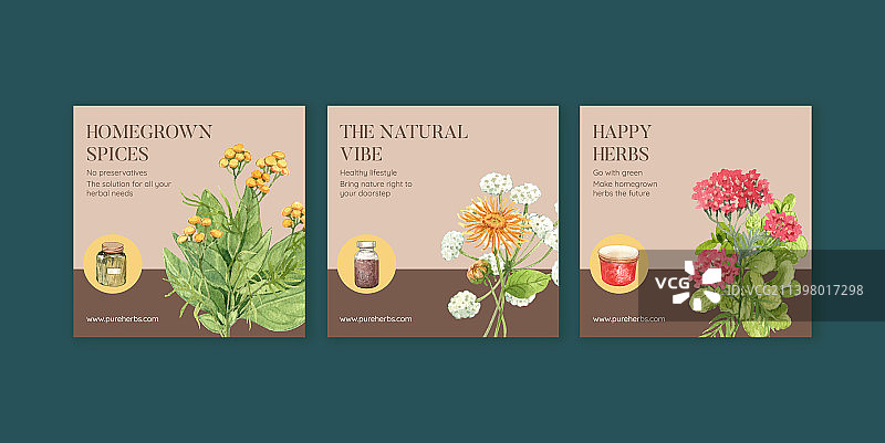 草本自产banner模板图片素材