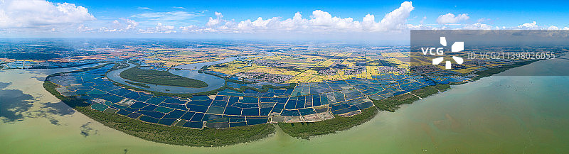 湛江，雷州湾，红树林，海岸线，守护家园图片素材