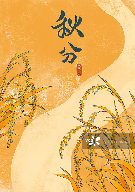 秋分节气插画金黄色的稻田图片素材