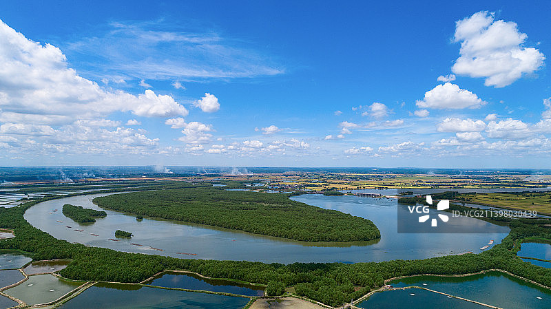 湛江，雷州，南渡河红树林图片素材