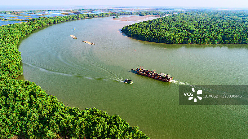 湛江，雷州，南渡河红树林图片素材