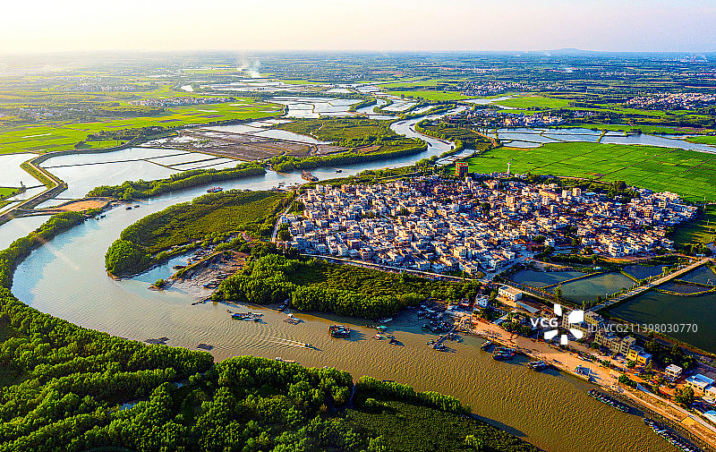 湛江，美丽通明湾，美丽红树林图片素材