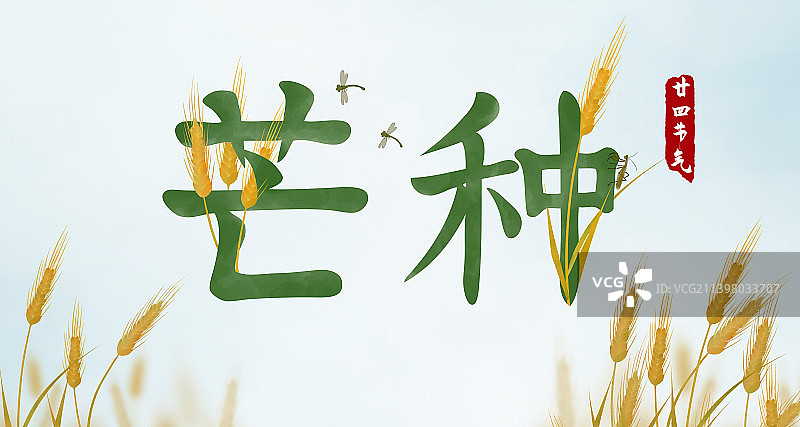 芒种节气文字标题设计展板图片素材