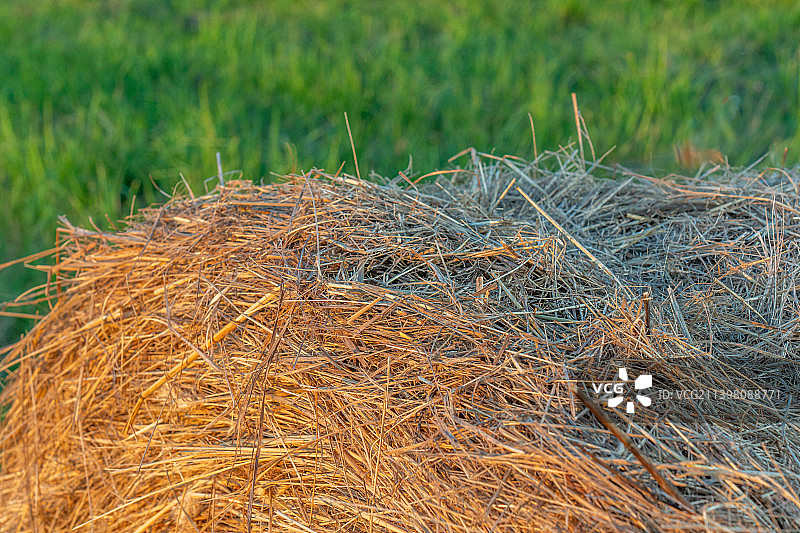 夏日夕阳下的草垛图片素材