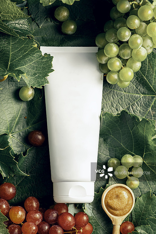 具有抗衰老效果的葡萄有机化妆品乳霜软管图片素材