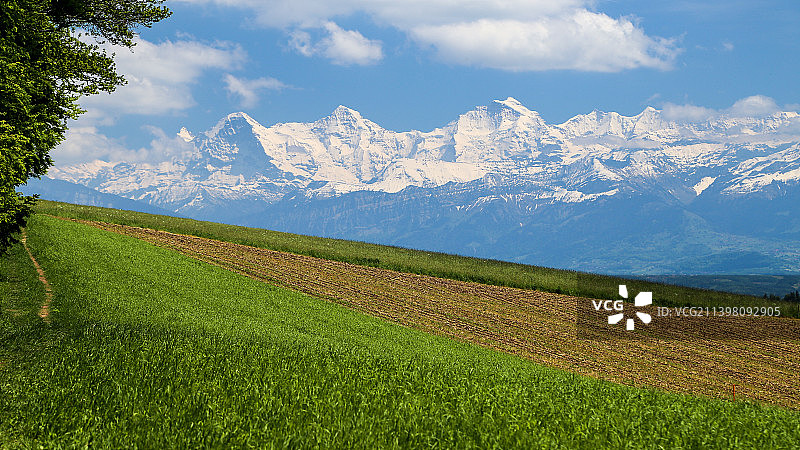 瑞士哈斯利大街田野风光图片素材