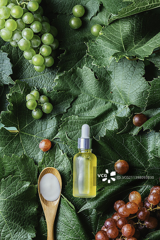 草本有机生物精华液图片素材