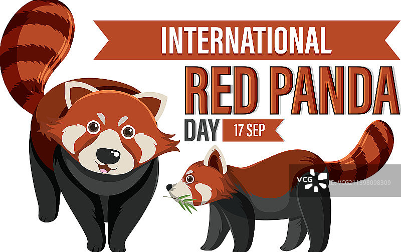 国际小熊猫日图片素材