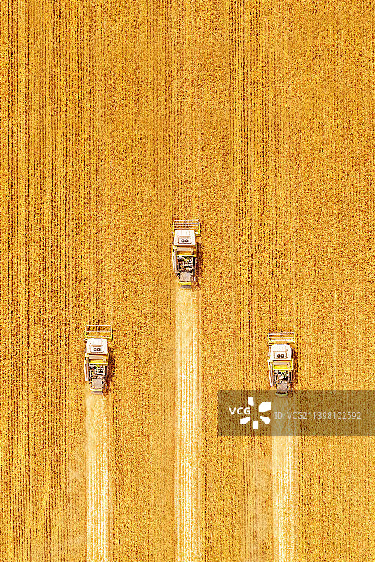 麦收季节图片素材