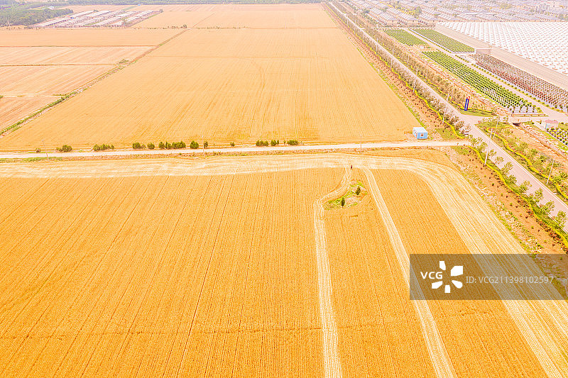 麦收季节图片素材