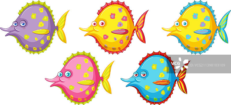 大比目鱼素材合集，白色背景图片素材