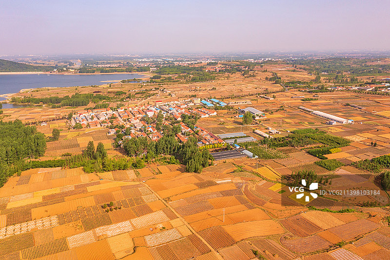 收麦子图片素材