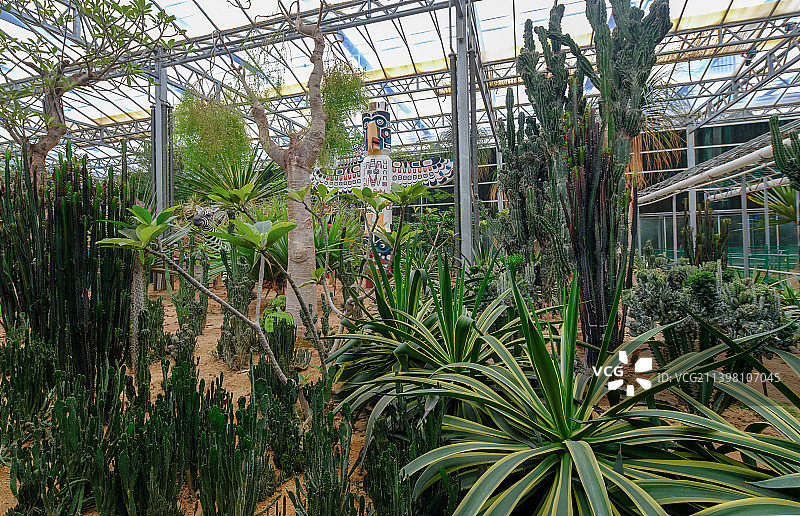 潍坊寿光菜博会4号馆“绿播非洲”图片素材