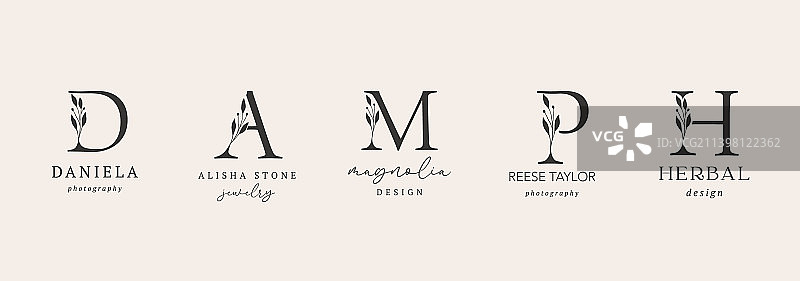 植物风极简首字母合集图片素材