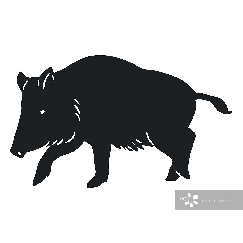 野猪剪影图片素材