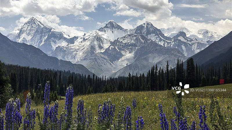 木扎尔特冰川图片素材