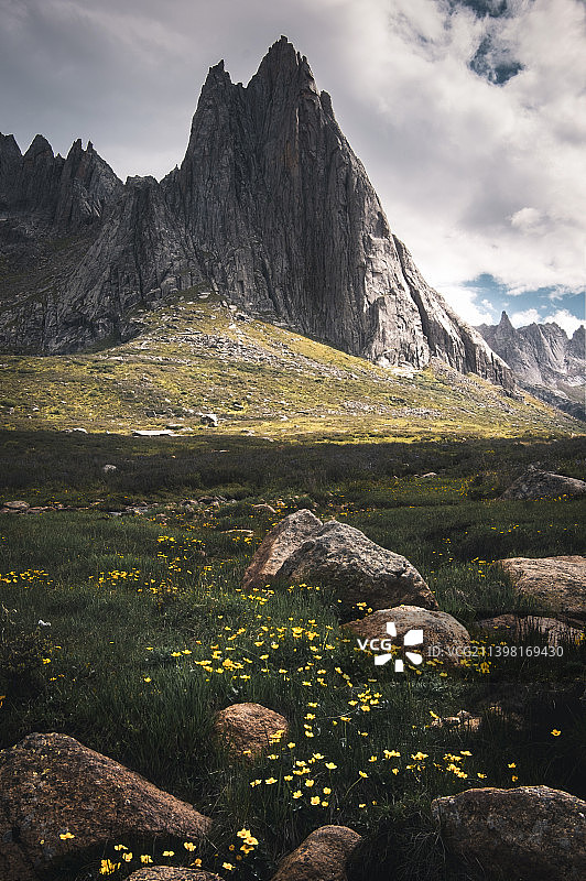 莲宝叶则的繁花图片素材