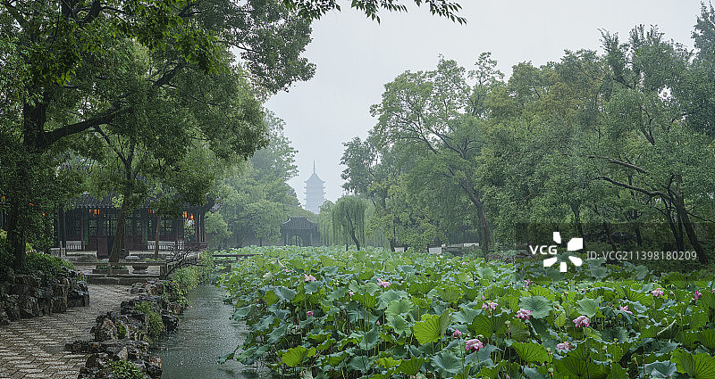 清晨烟雨，拙政园，苏州园林图片素材