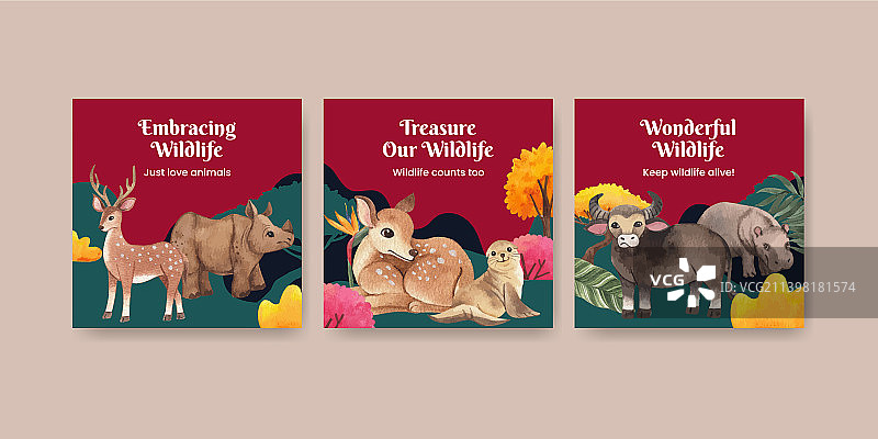 热带野生动物banner模板图片素材