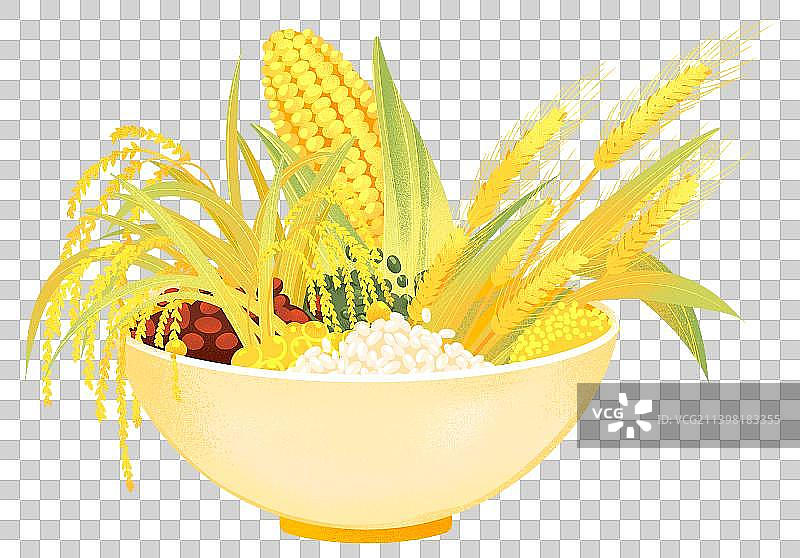 世界粮食日小麦水稻粮食谷物碗插画图片素材