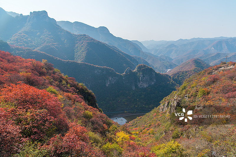 秋天——红叶图片素材