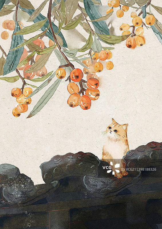 可爱小猫在枇杷树下的屋檐上图片素材