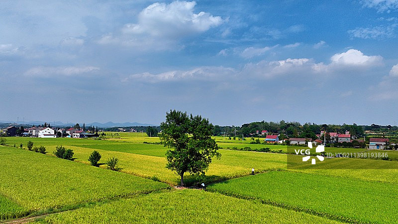 守望金秋图片素材