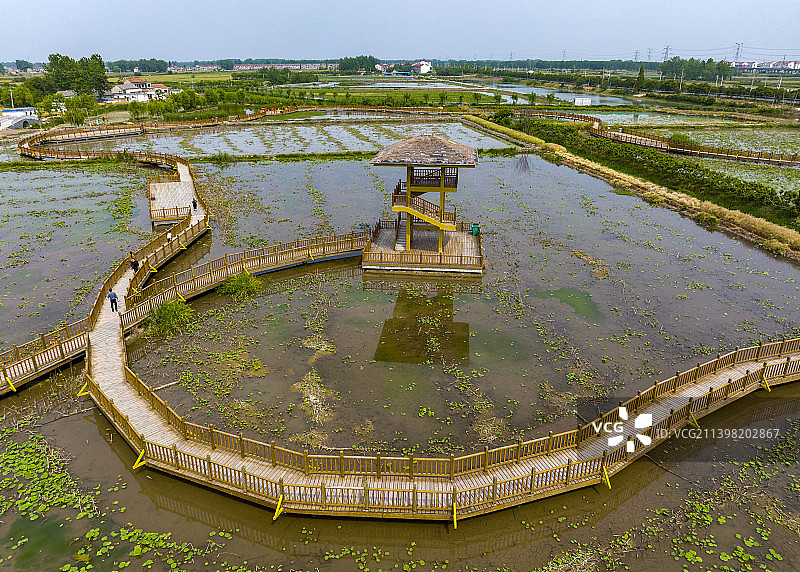 里下河水乡图片素材