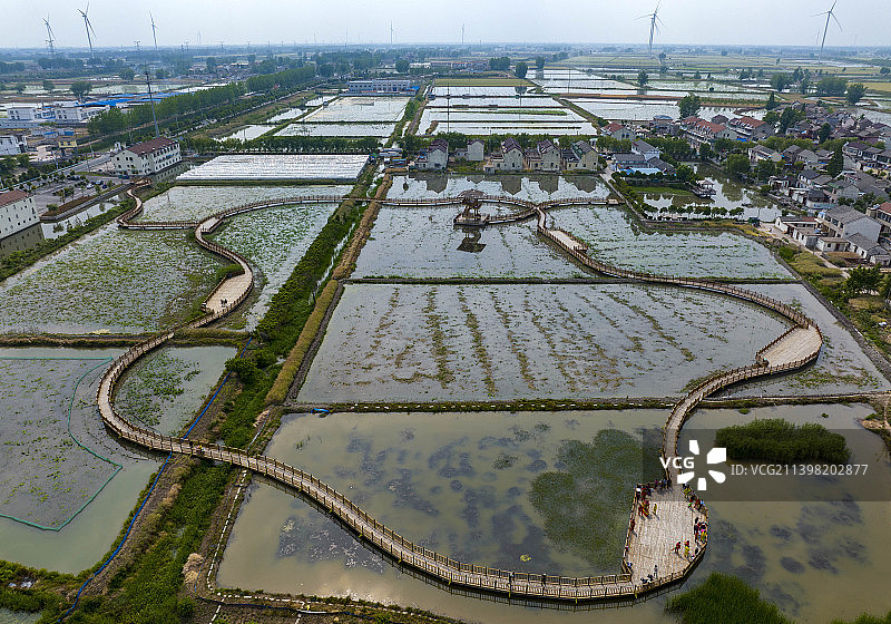 里下河水乡图片素材